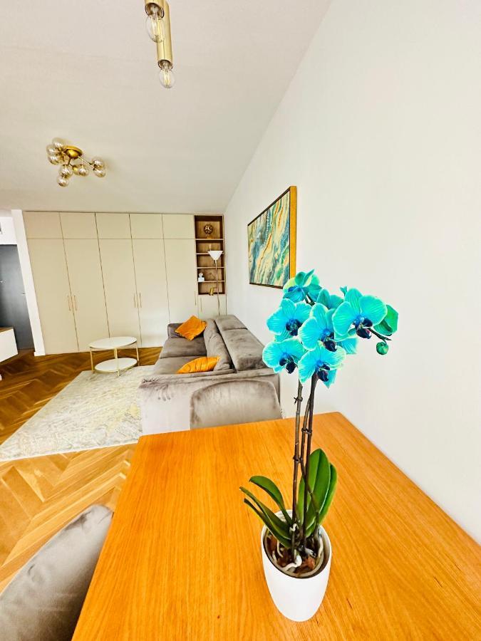 Bel Dom - The Central, Spacious 2 Rooms Luxury Apartment Клуж-Напока Екстер'єр фото